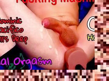 orgasme, amatør, anal, cumshot, stor-pikk, leke, cum, knulling-fucking, maskiner, dildo