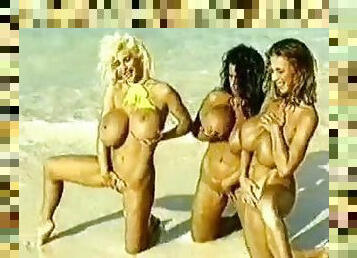 Retro big tits chicks on the beach