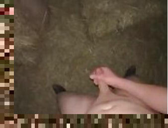 Cumming In The Barn