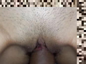 amatir, latina, vagina-vagina, perawan