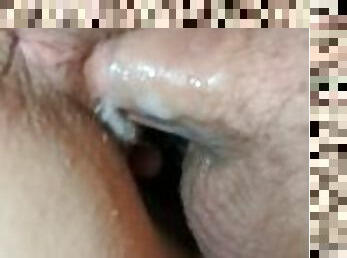 rumpe, doggy, pussy, amatør, cumshot, stor-pikk, milf, mamma, creampie, par